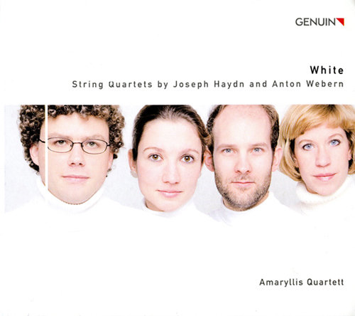 美女捆绑✅免费网站
